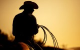 Giddy-Up Metrics