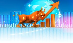 bull