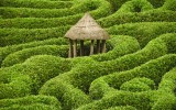 maze