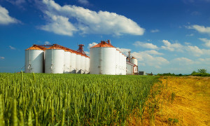 Agricultural silos under blue sky, in the fields