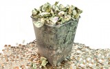 waste-money