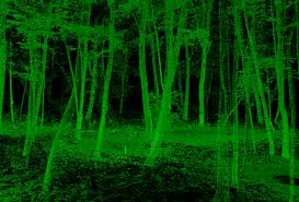 trees
