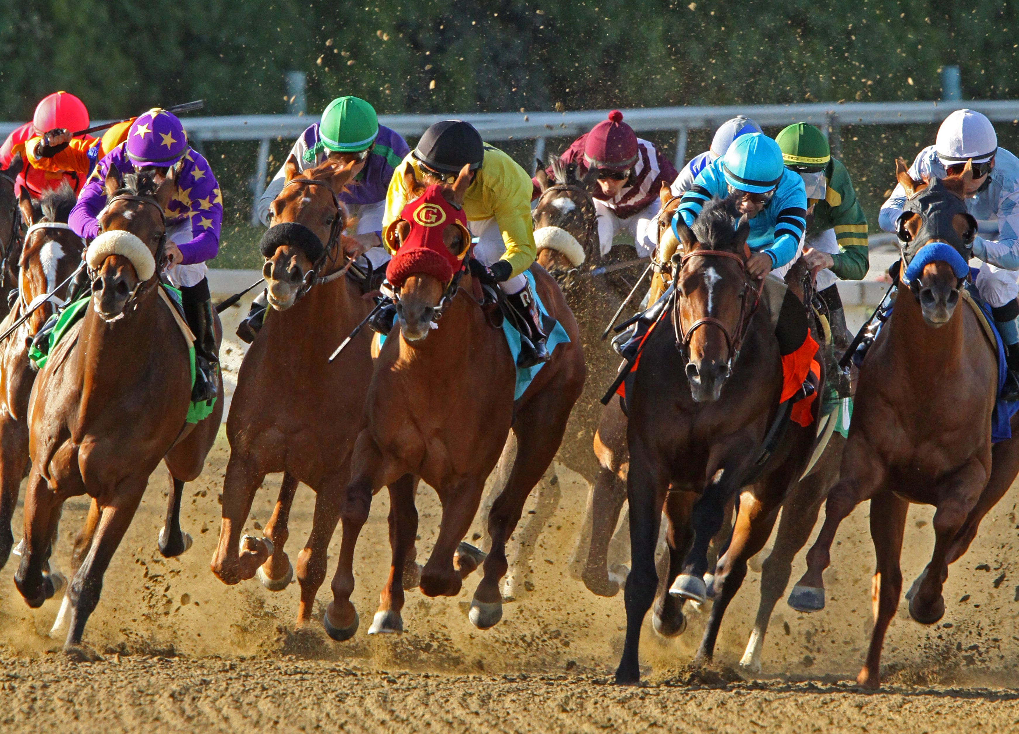 horseracing