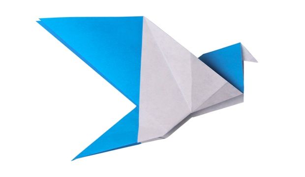 blue bird