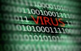 virus