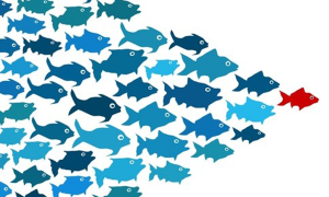Are You Master of Your Data Domain