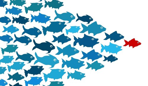 Are You Master of Your Data Domain