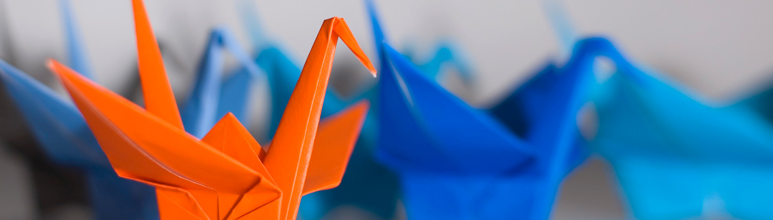 HLB Orange and Blue