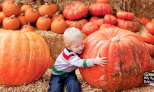 boyandpumpkin