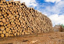 Creating A Wall-to-Wall Business Strategy in a Commodity Market