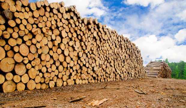 Creating A Wall-to-Wall Business Strategy in a Commodity Market