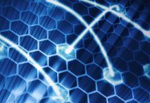 Fighting Corruption With Open Data