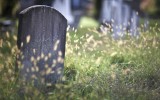 Don’t Send Your Data to the ERP Cemetery