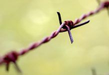 “JumpStart” Your Customer Loyalty