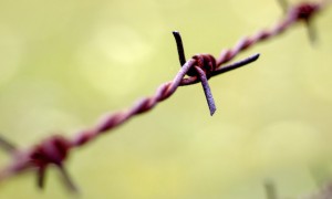 barbwire
