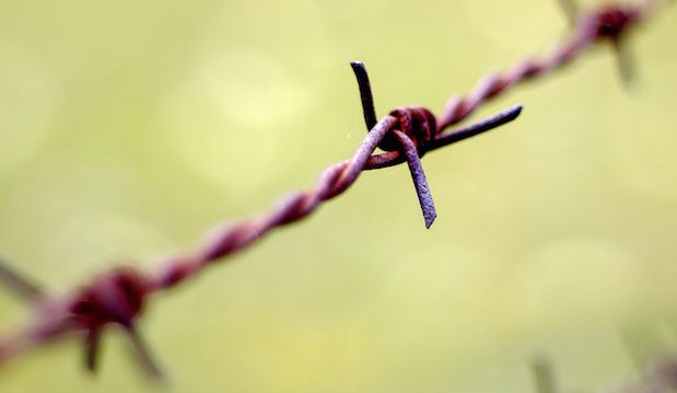 barbwire