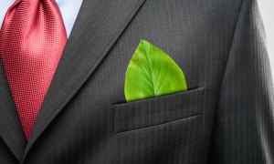 tieandleaf