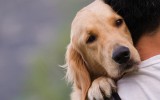 loyaldog