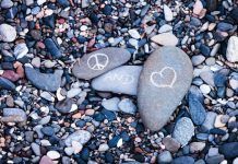 Gaining Insight to Address Humanitarian Crises