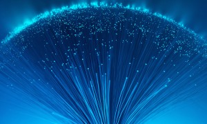 fiber
