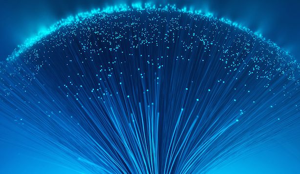 fiber