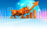 bull