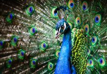 Turning Data Into Actionable Insights