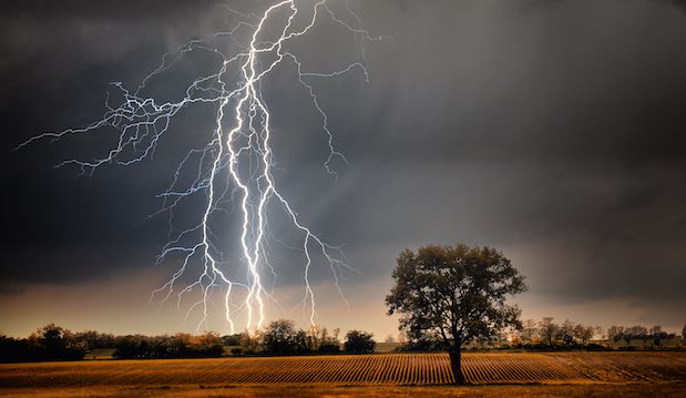 lightningtree