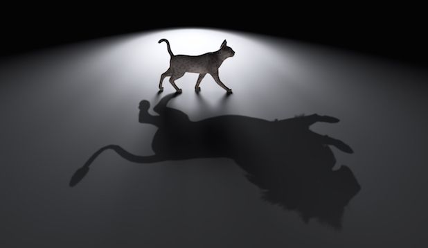 catlion