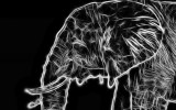 elephantdrawing