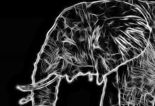 Interactive Analysis of Hadoop Big Data for Everyone