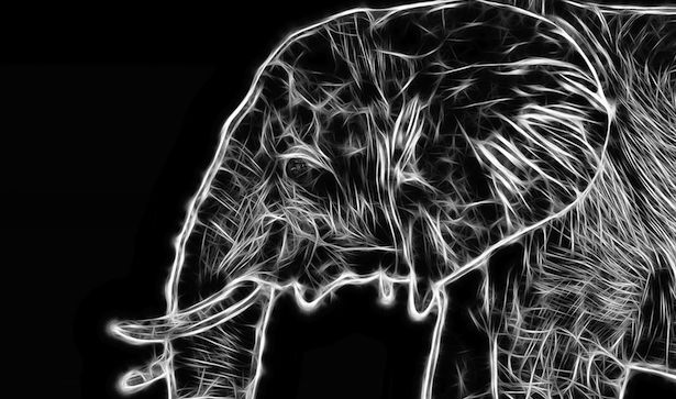 elephantdrawing