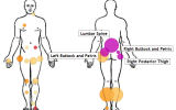 BodyMap