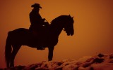 Taming the Microservice Wild West