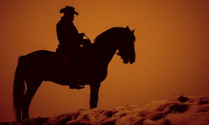 Taming the Microservice Wild West
