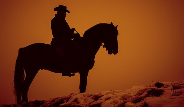 Taming the Microservice Wild West