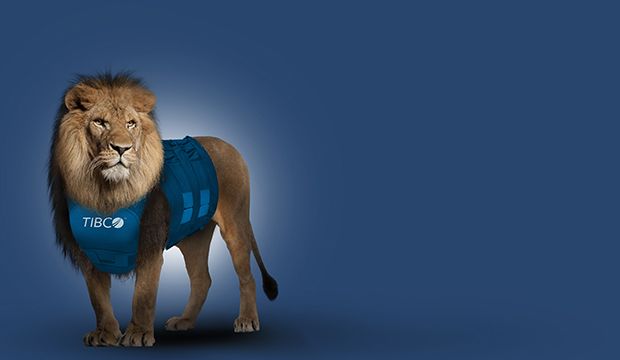 Lion2