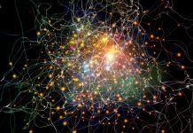 The Ripple Effect of the Police Open Data Initiative (ODI)