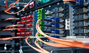 Optic cable connected to a single patch panel.
** Note: Shallow depth of field