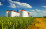 Agricultural silos under blue sky, in the fields