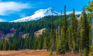 Snowy Peak of Mount Hood in the Cascade Volcanic Arc of Northern Oregon United States. Oregon Landscape.