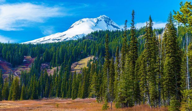 Mount Hood In Oregon