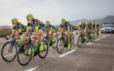 team tibco