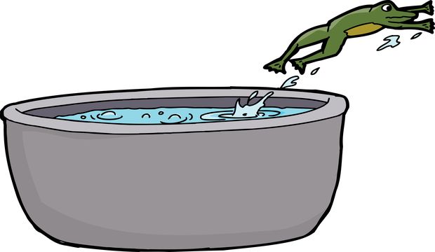 Isolated Frog Escaping Hot Water