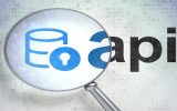Programming concept: magnifying optical glass with Database With Lock icon and Api word on digital background