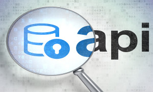 Programming concept: magnifying optical glass with Database With Lock icon and Api word on digital background