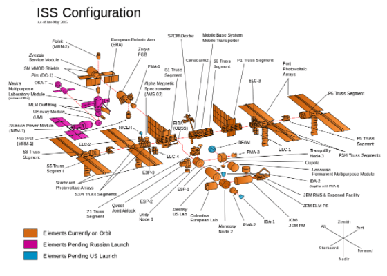 Figure 1 - (Picture Credit Wikipedia)
