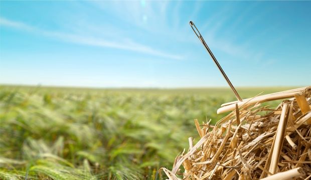 Needle in a Haystack.