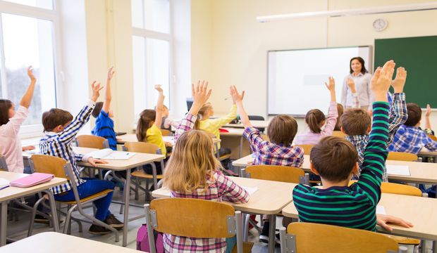 education, elementary school, learning and people concept - grou