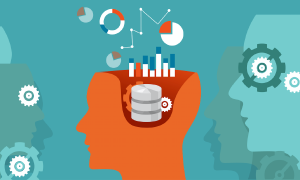 data scientist